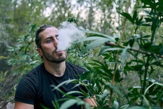 New evidence on truc tiep da ga thomo and why e cigarettes and popcorn lung concerns are rising